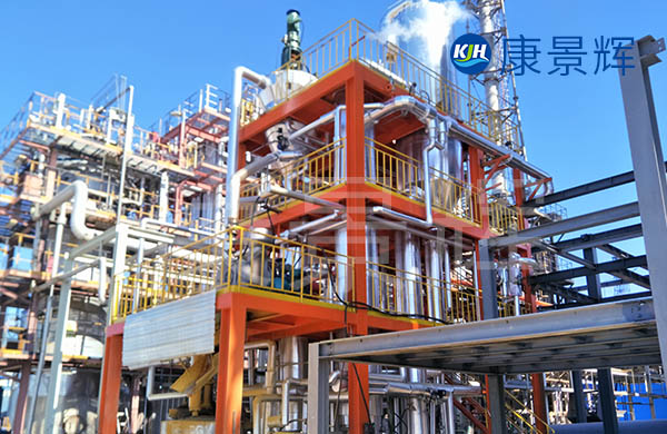 藥廠胺鹽MVR蒸發(fā)結(jié)晶設(shè)備