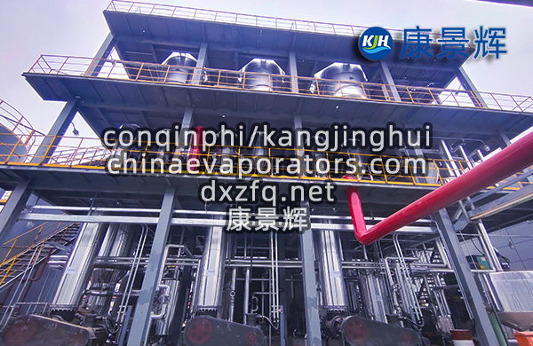 處理量3t/h的碳酸鈉蒸發(fā)結(jié)晶系統(tǒng)